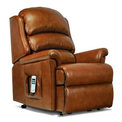 1011 Albany Petite Single Motor Riser Recliner - ZERO RATE VAT - 5 Year Guardsman Furniture Protection Included For Free!