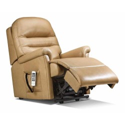Beaumont Petite Single Motor Riser Recliner - ZERO RATE VAT - 5 Year Guardsman Furniture Protection Included For Free!