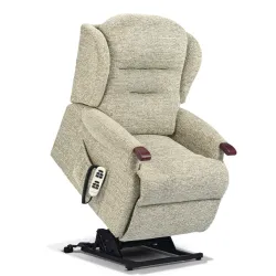 Newbury Knuckle Petite Single Motor Riser Recliner - ZERO RATE VAT